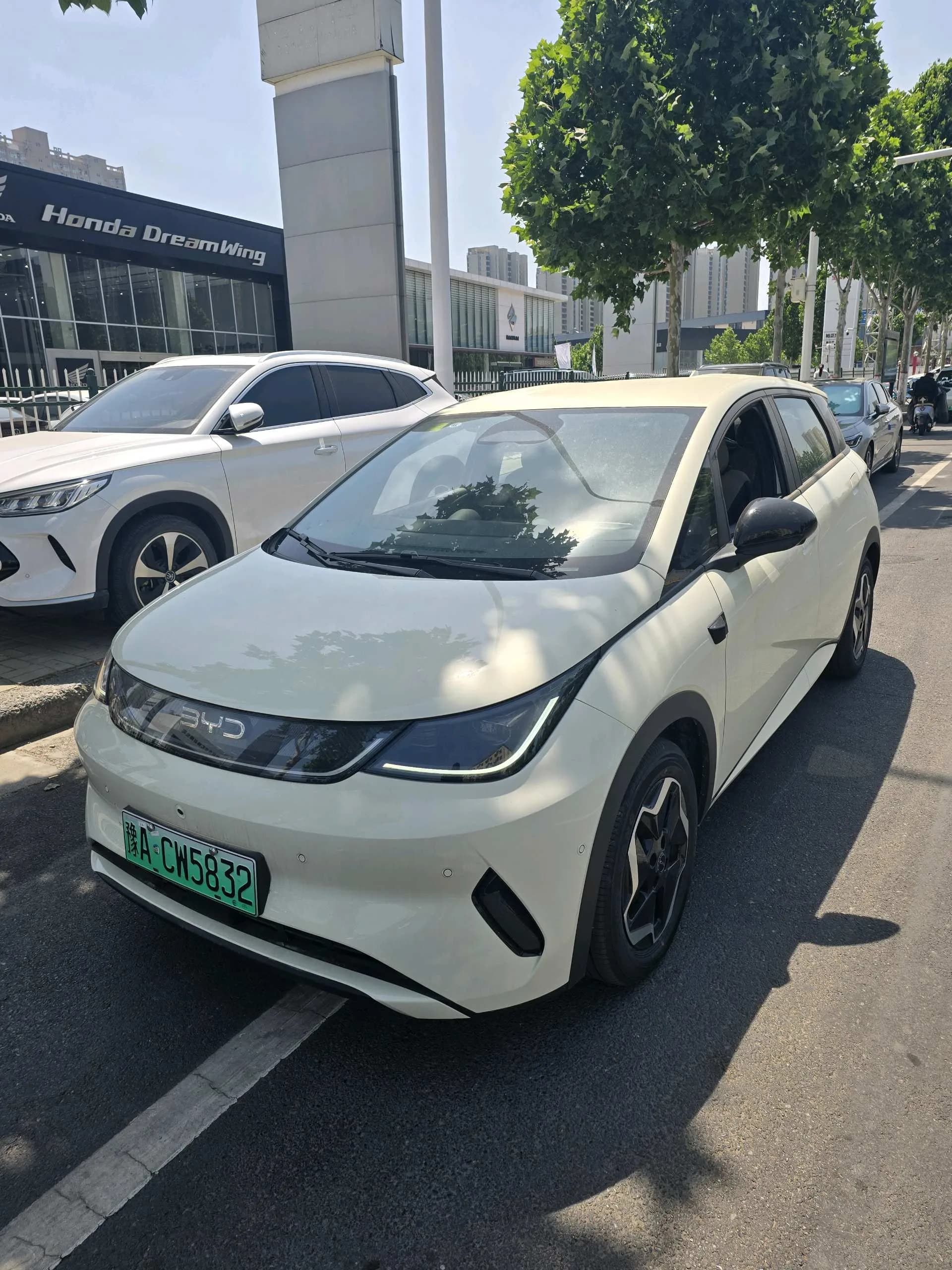 BYD 2025 Dolphin Smart Driving Edition 420km Freedom Edition Automatic Transmission exterior