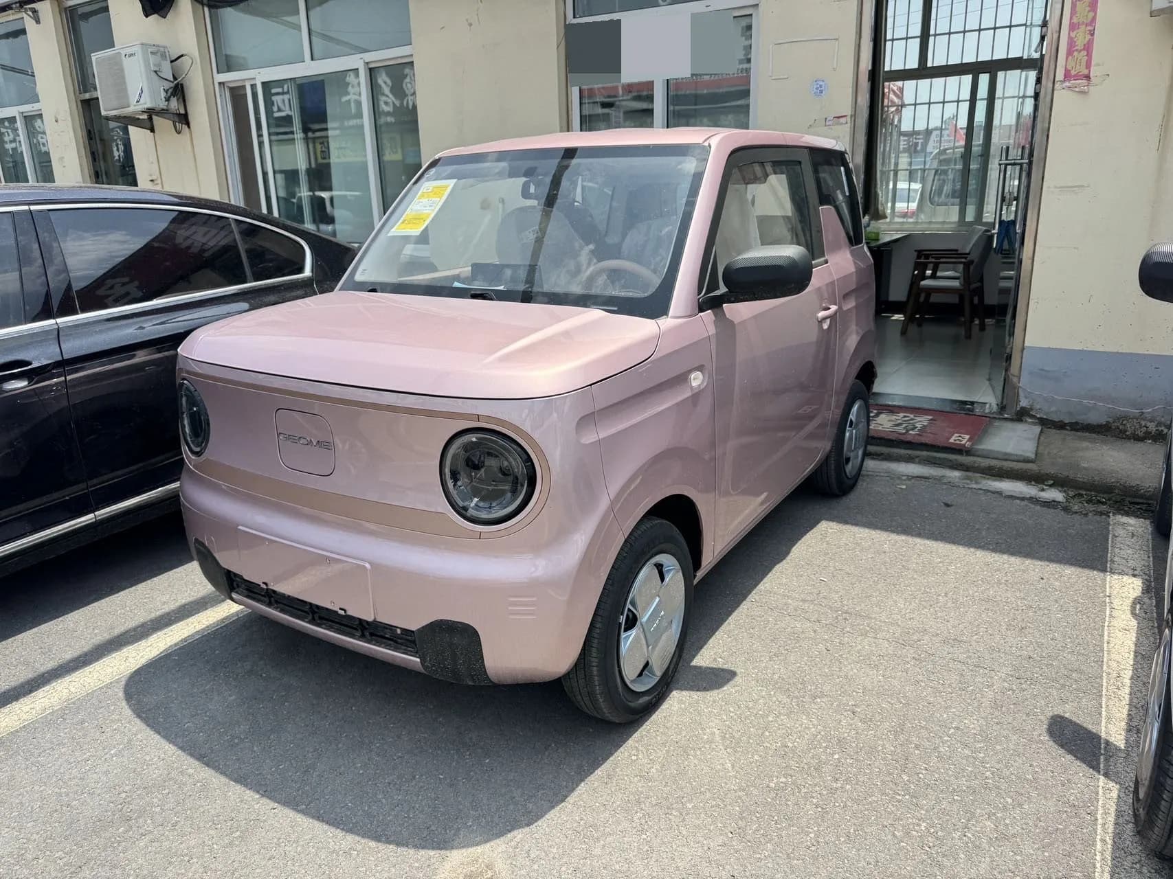 Panda 2024 Panda Mini 200km Endurance Bear exterior