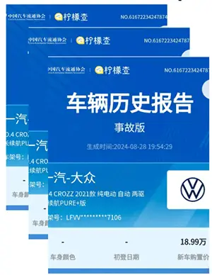 Sample online vehicle history report screens
