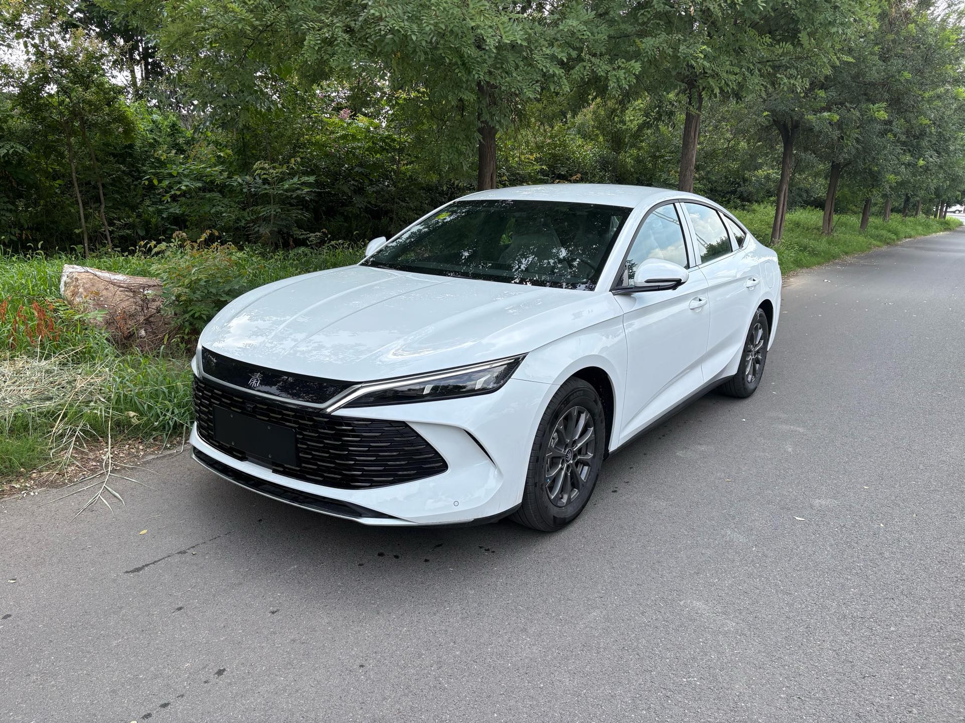 BYD 2026 Qin L DM-i 1.5 CVT 128KM Progressive Edition Automatic Transmission exterior