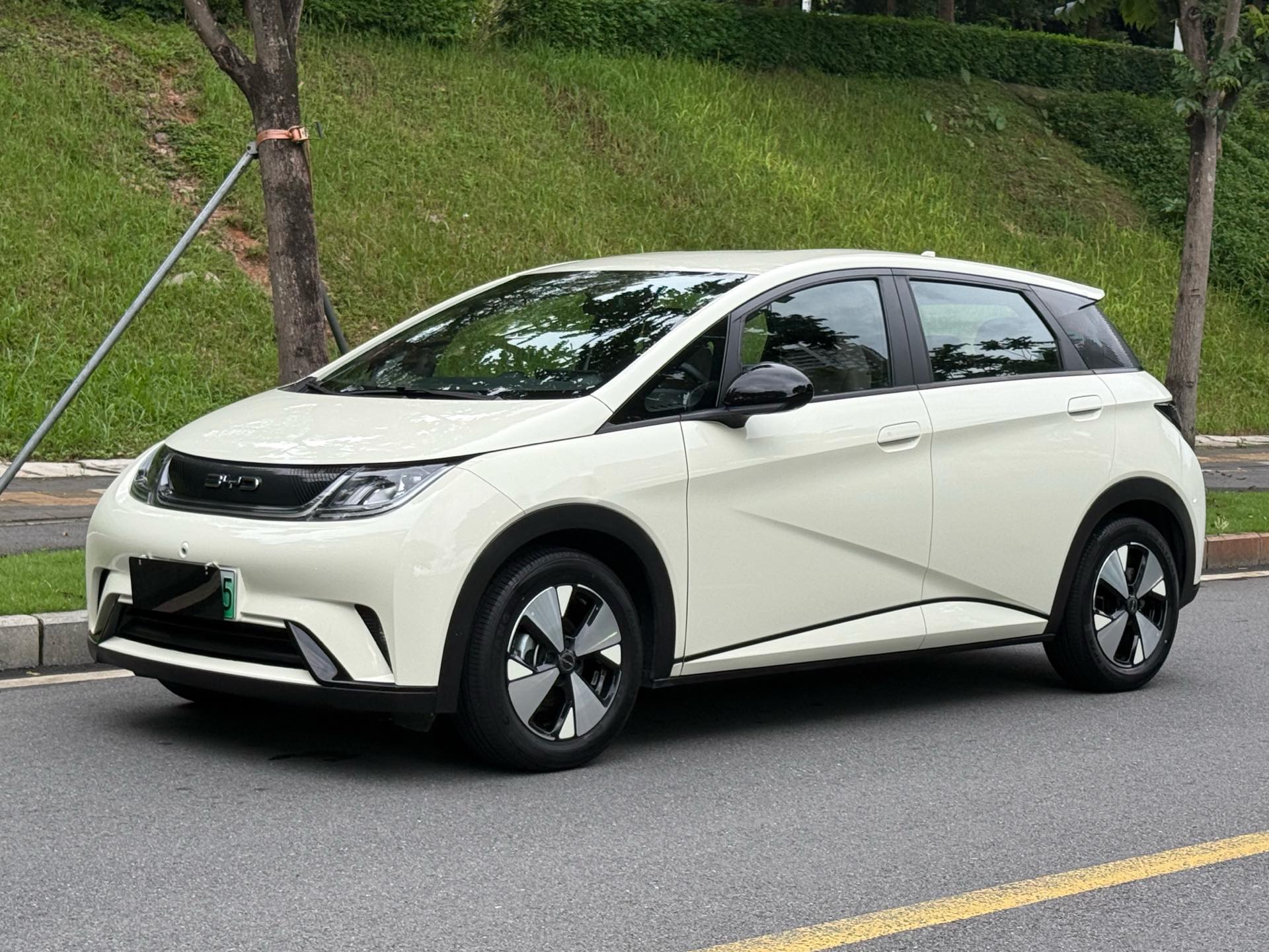 BYD 2023 Dolphin 420km Freedom Edition, Automatic Transmission
