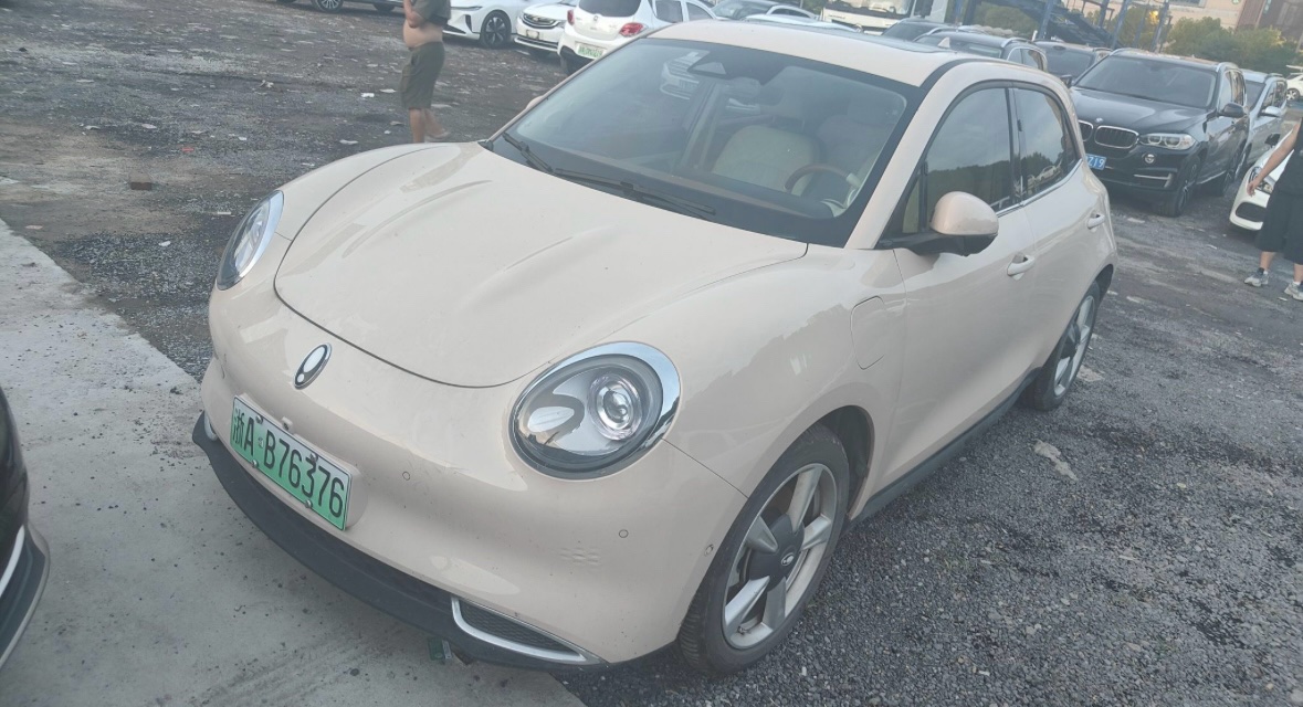 Eula Good Cat 2023 Model, 401 km Standard Range, Luxury Trim, Lithium Iron Phosphate exterior