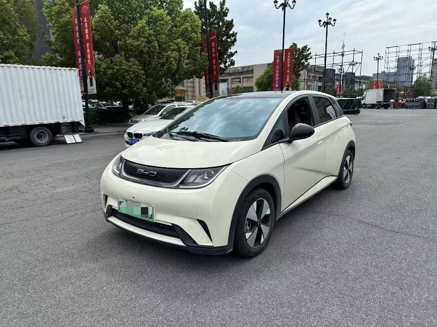 BYD 2023 Dolphin 420km Fashion Edition, Automatic Transmission exterior
