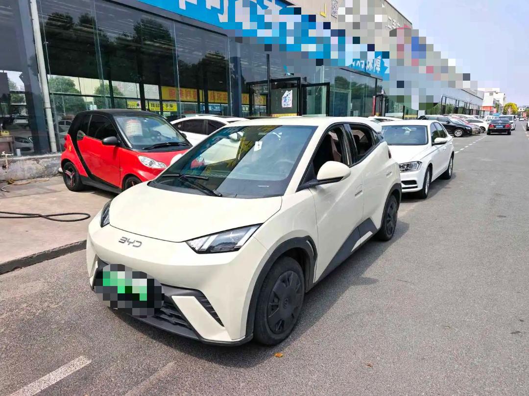 BYD 2024 Seagull Glory Edition 305 km Vitality Edition Automatic Transmission exterior