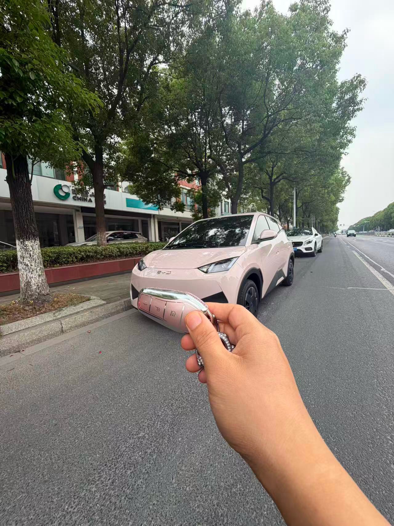 BYD 2025 Seagull 305km Freedom Edition, Automatic Transmission exterior