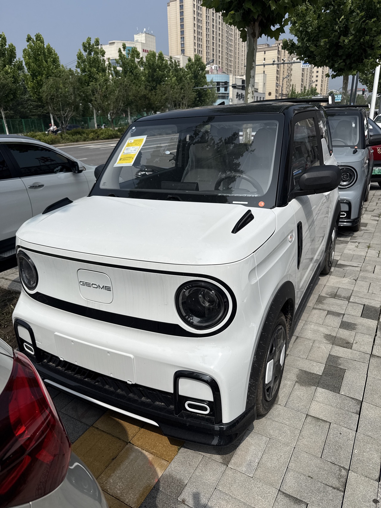 Geely 2025 Panda MINI 210 km Panda Kart Automatic Transmission