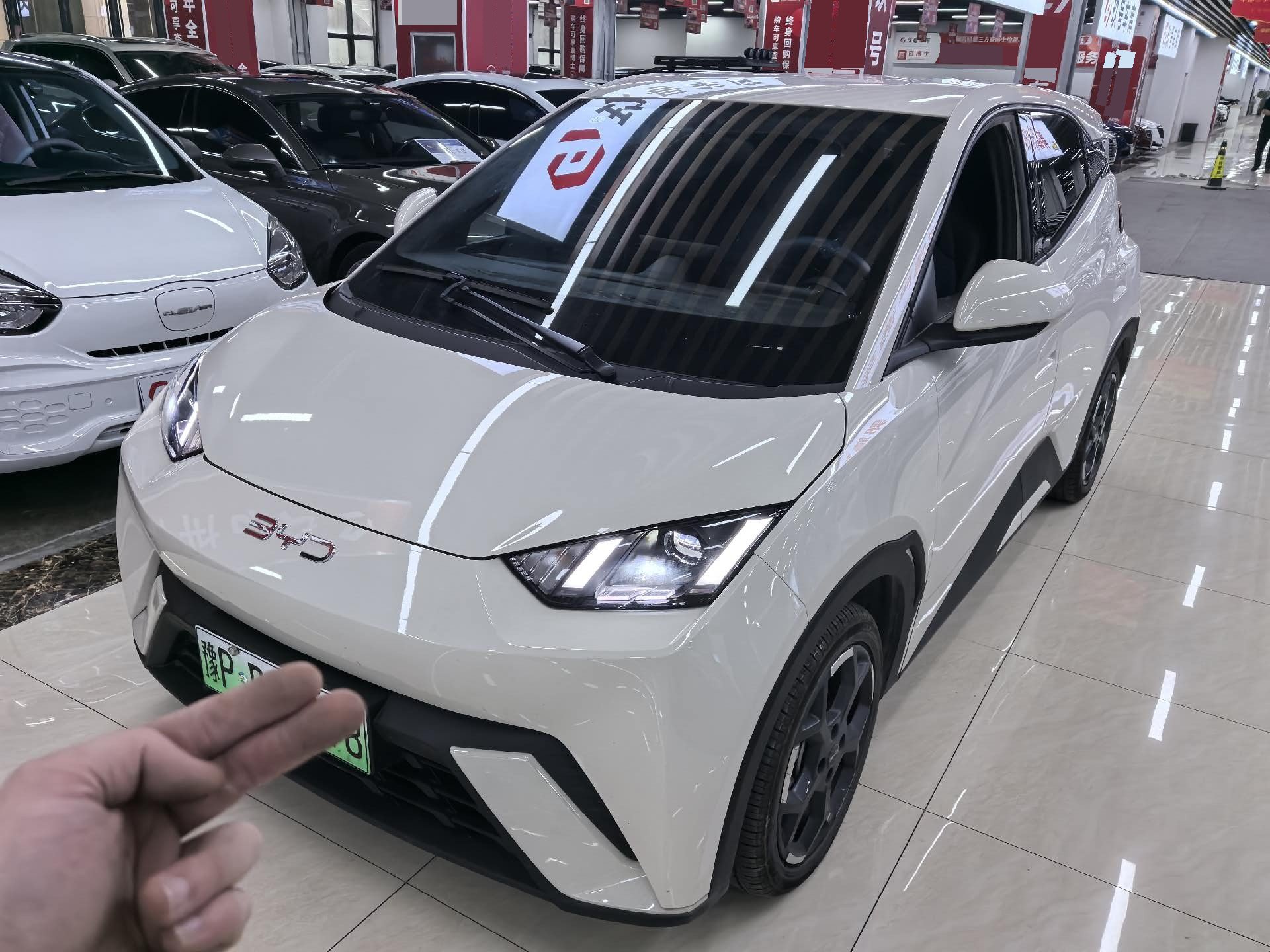 BYD 2025 Seagull 305km Freedom Edition, Automatic Transmission