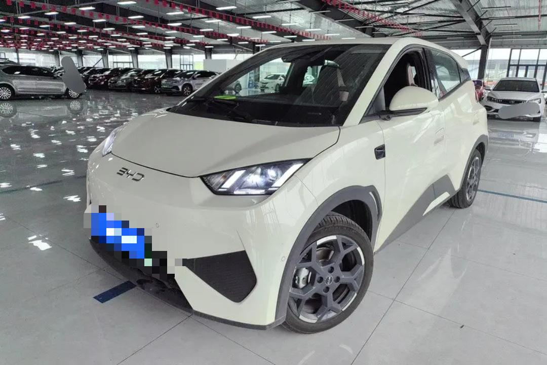 BYD 2025 Seagull Smart Driving Edition 305km Freedom Edition, Automatic Transmission