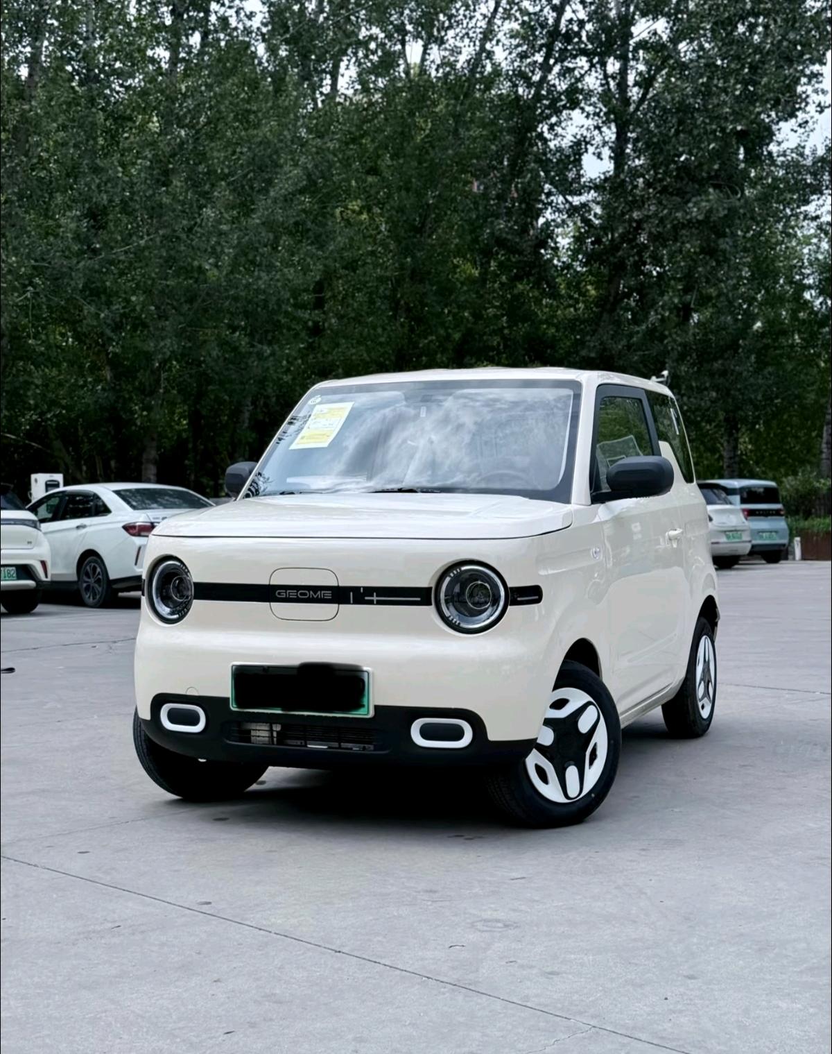 Geely 2025 Panda MINI 210 km "Energetic Bear" Automatic Transmission