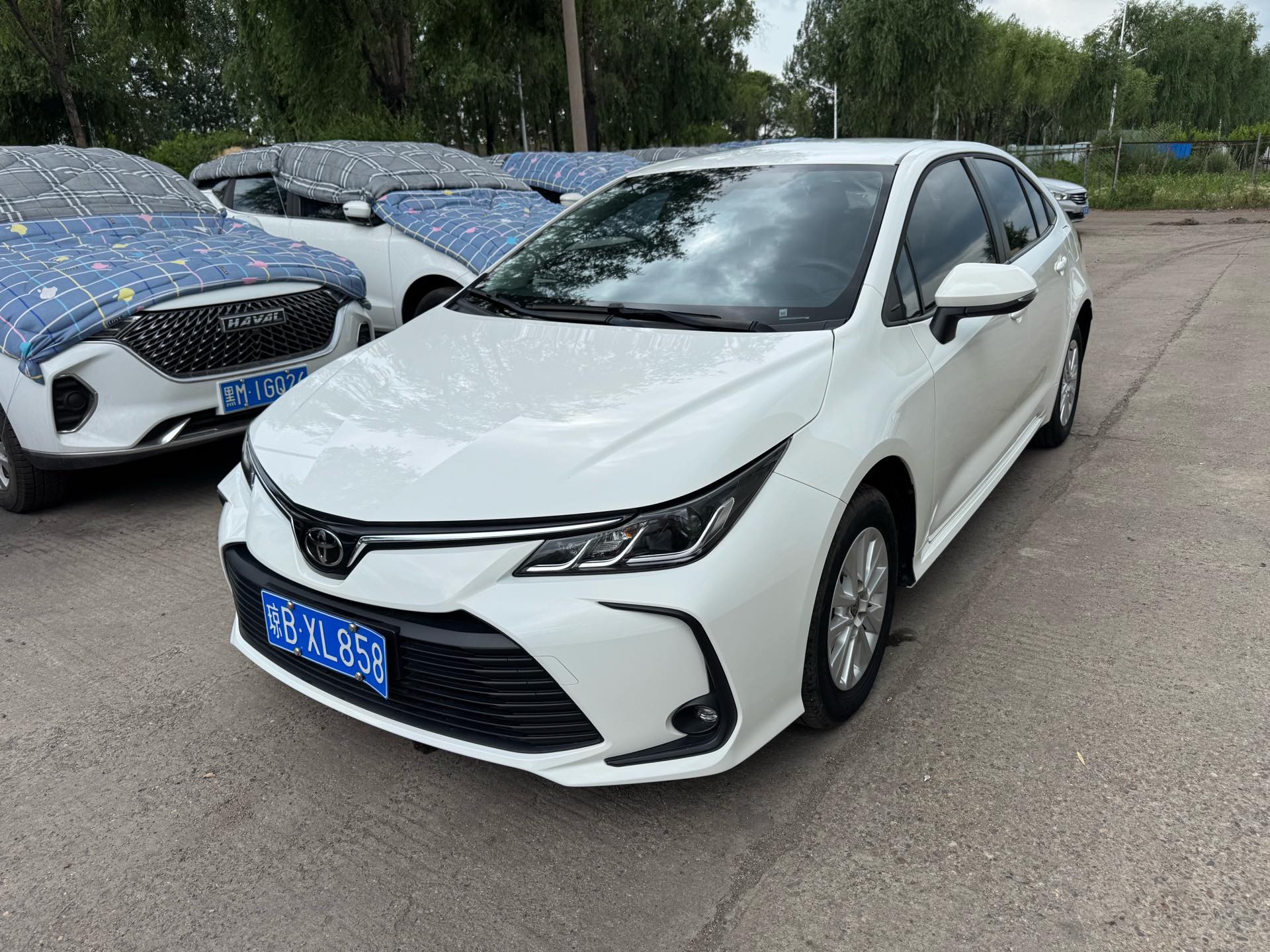 Toyota 2023 Corolla 1.2T CVT Pioneer Edition Automatic exterior