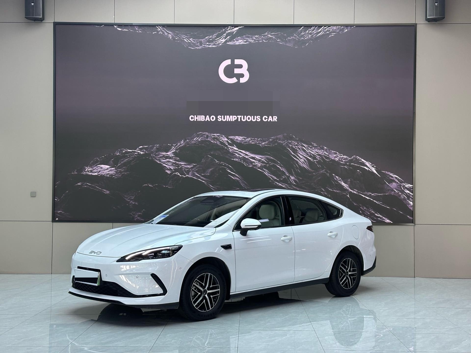 Seal 05 DM-i 2025 Model Year DM-i Intelligent Driving Edition 120KM Flagship exterior