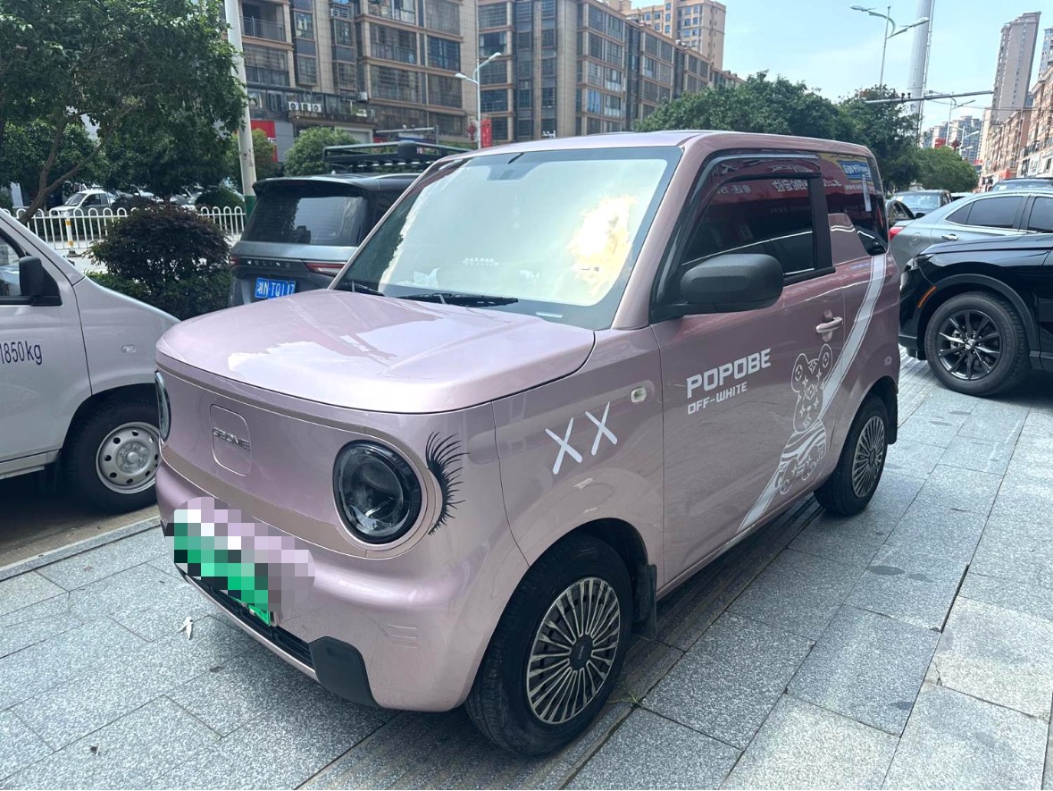 Geely 2023 Panda MINI 200km "Agile Bear" Automatic Transmission exterior