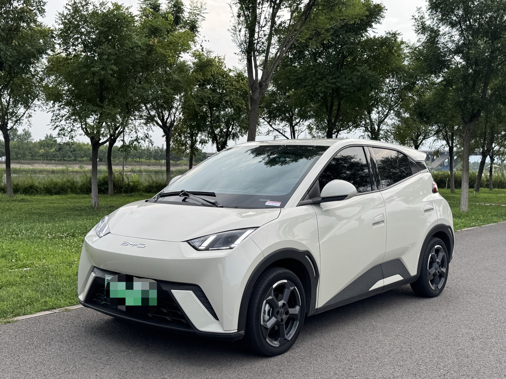 BYD 2023 Seagull Flying Edition Automatic Transmission exterior