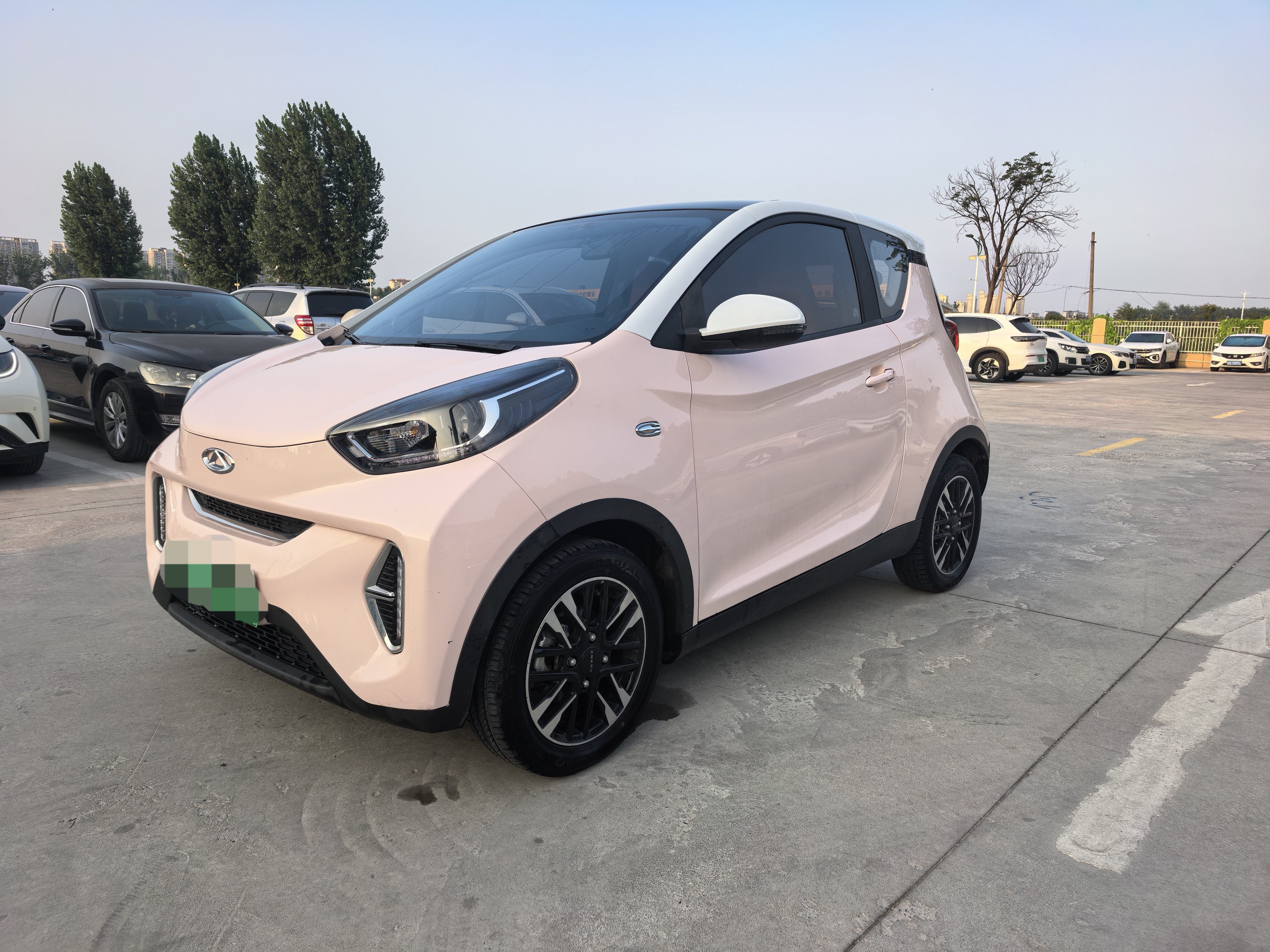 Little Ant 2023 Model, 251 km, True Love Edition, Lithium Iron Phosphate exterior