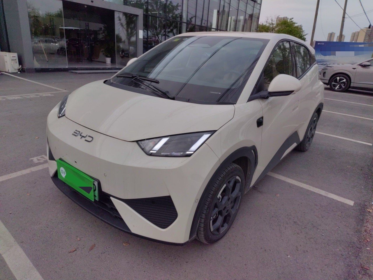 BYD 2025 Seagull Smart Driving Edition 305km Freedom Edition, Automatic Transmission exterior