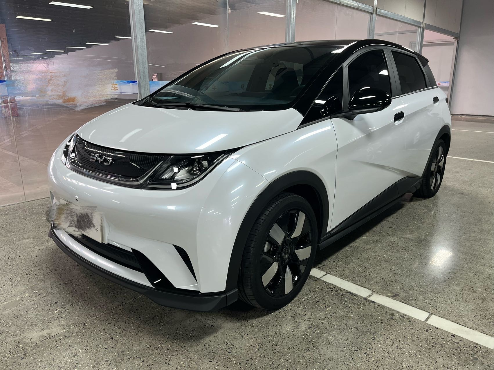 BYD 2025 Dolphin 520km Knight Edition Automatic Transmission exterior
