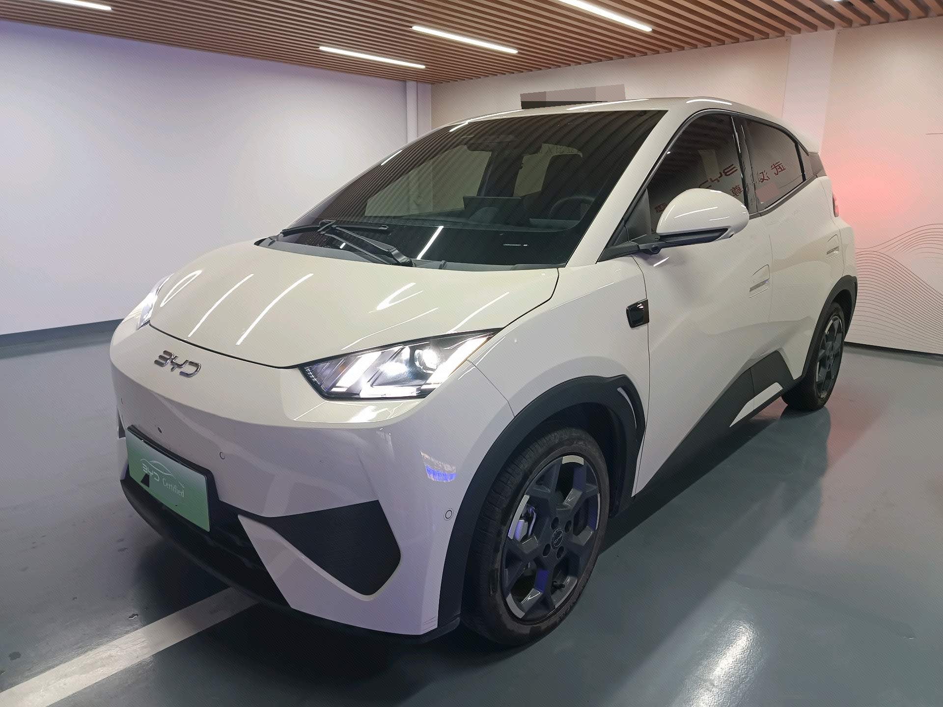 BYD 2025 Seagull Smart Driving Edition 305km Freedom Edition, Automatic Transmission exterior