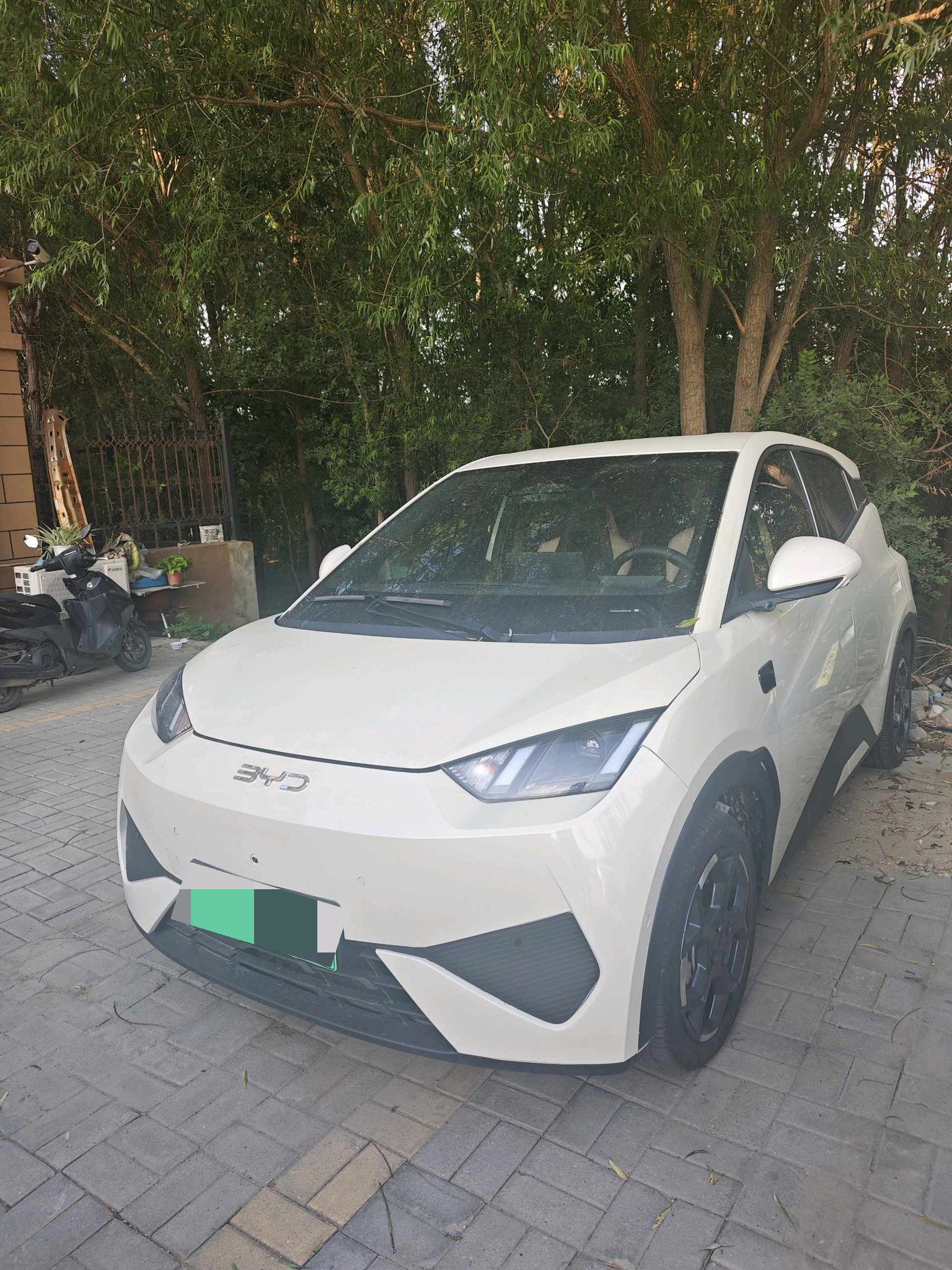 BYD 2025 Seagull Smart Driving Edition 305km Freedom Edition, Automatic Transmission exterior