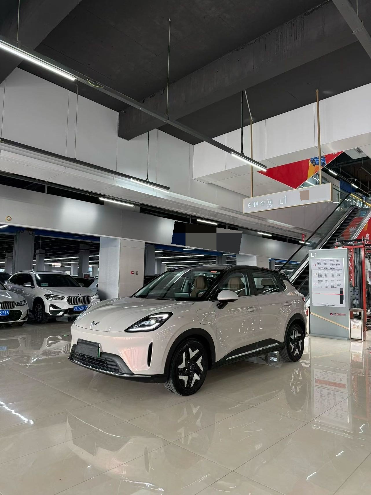 Binguo S 2025 Model, 430 km, Flagship Edition exterior