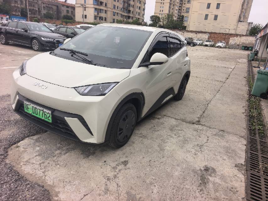 BYD 2025 Seagull Smart Driving Edition 305km Vitality Edition Automatic Transmission exterior