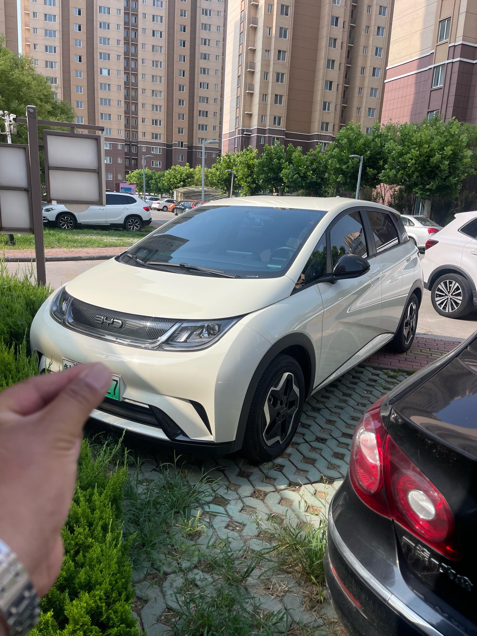 BYD 2025 Dolphin 420km Vitality Edition, Automatic Transmission exterior