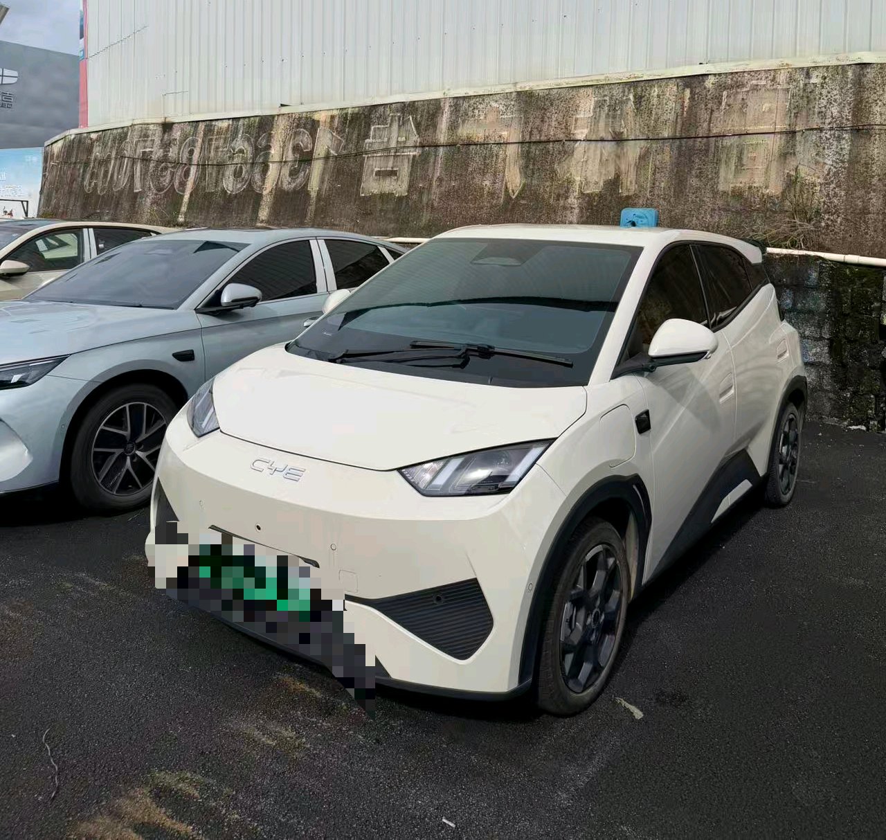 BYD 2025 Seagull Smart Driving Edition 305km Freedom Edition, Automatic Transmission exterior