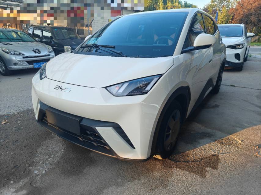 BYD 2025 Seagull 305km Vitality Edition, Automatic Transmission exterior