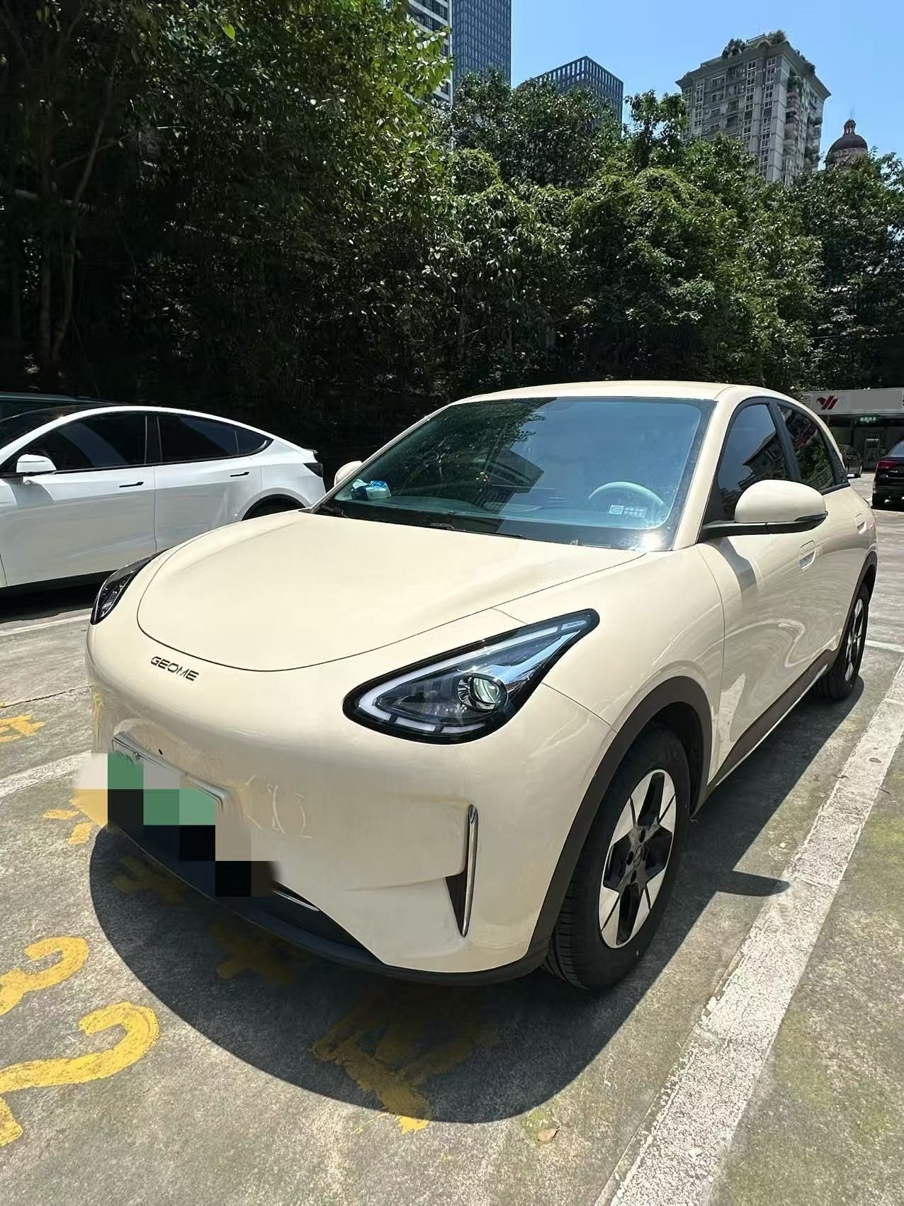 Star Wish 2025 Model 310km Dream Edition exterior