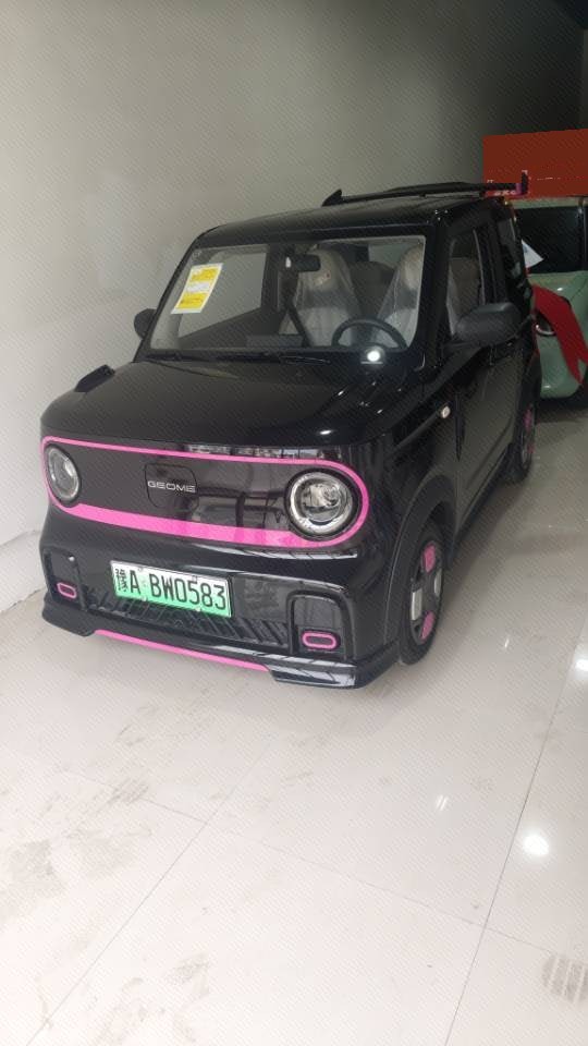 Geely 2025 Panda MINI 210 km Panda Kart Automatic Transmission exterior