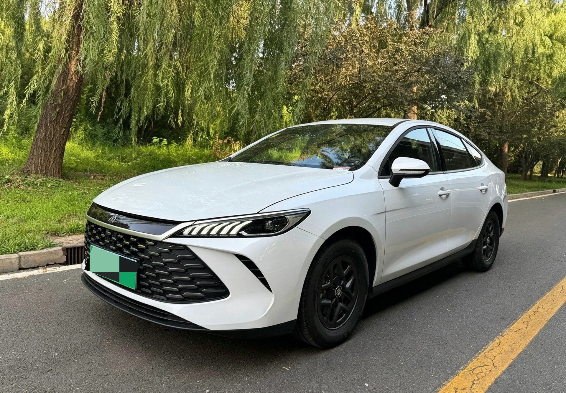 BYD 2025 Qin PLUS DM-i 1.5 CVT Intelligent Driving Edition 55KM Leading Model, Automatic Transmission exterior