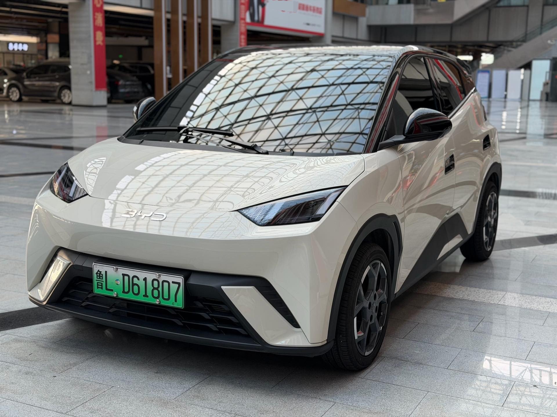 BYD 2025 Seagull 305km Freedom Edition, Automatic Transmission exterior