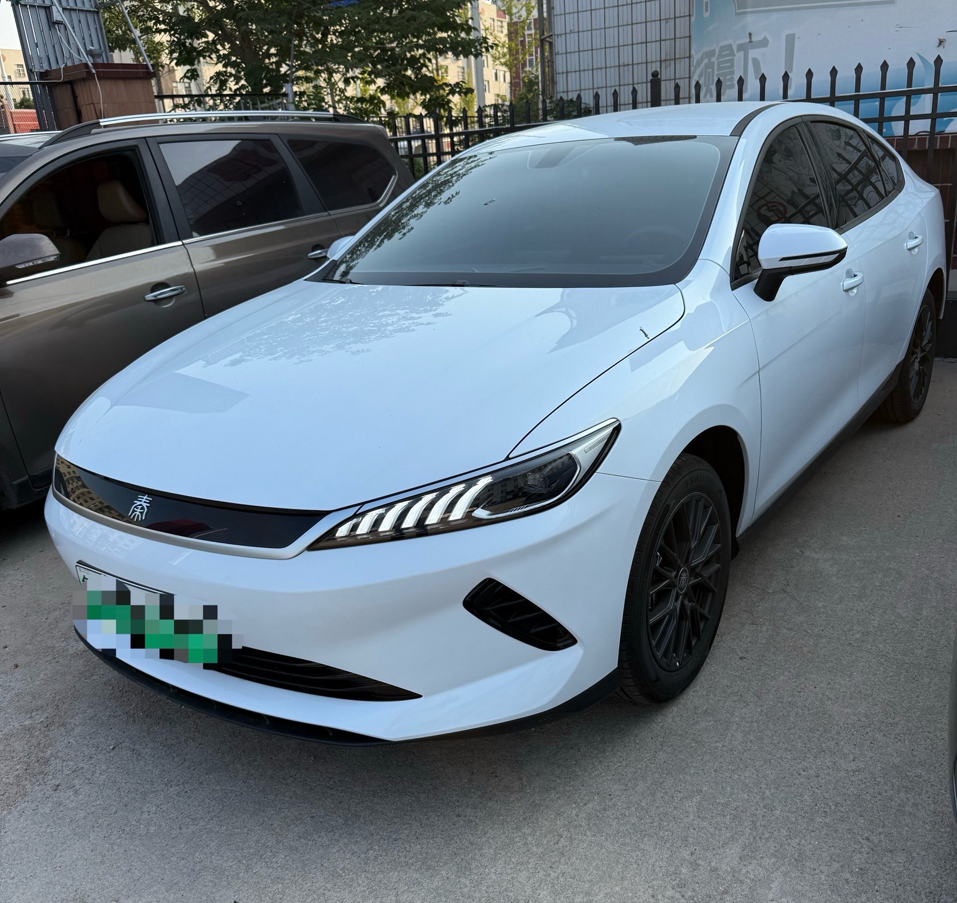 BYD 2025 Qin PLUS EV Intelligent Driving Edition 510KM Leading Trim, Automatic Transmission exterior