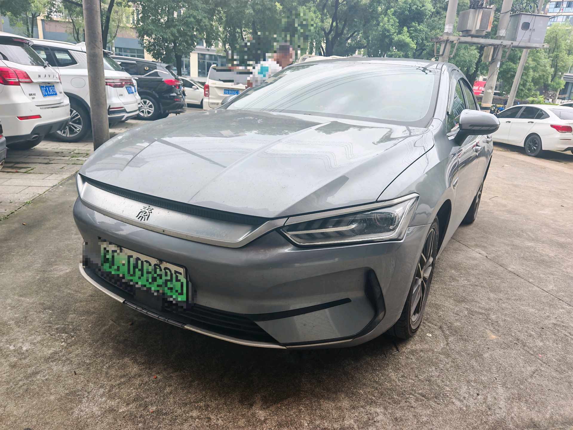 BYD 2024 Qin PLUS EV 510KM Glory Edition, Leading Trim, Automatic Transmission exterior