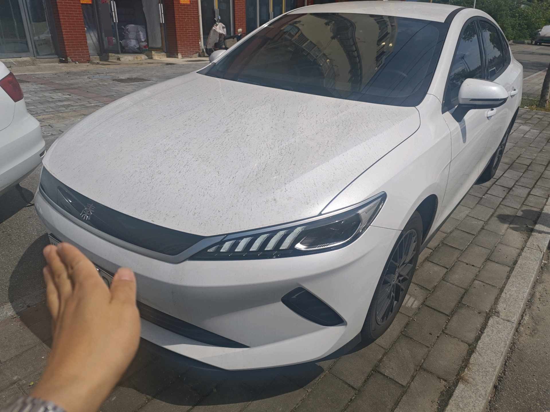 BYD 2025 Qin PLUS EV Intelligent Driving Edition 510KM Progressive Trim, Automatic Transmission exterior
