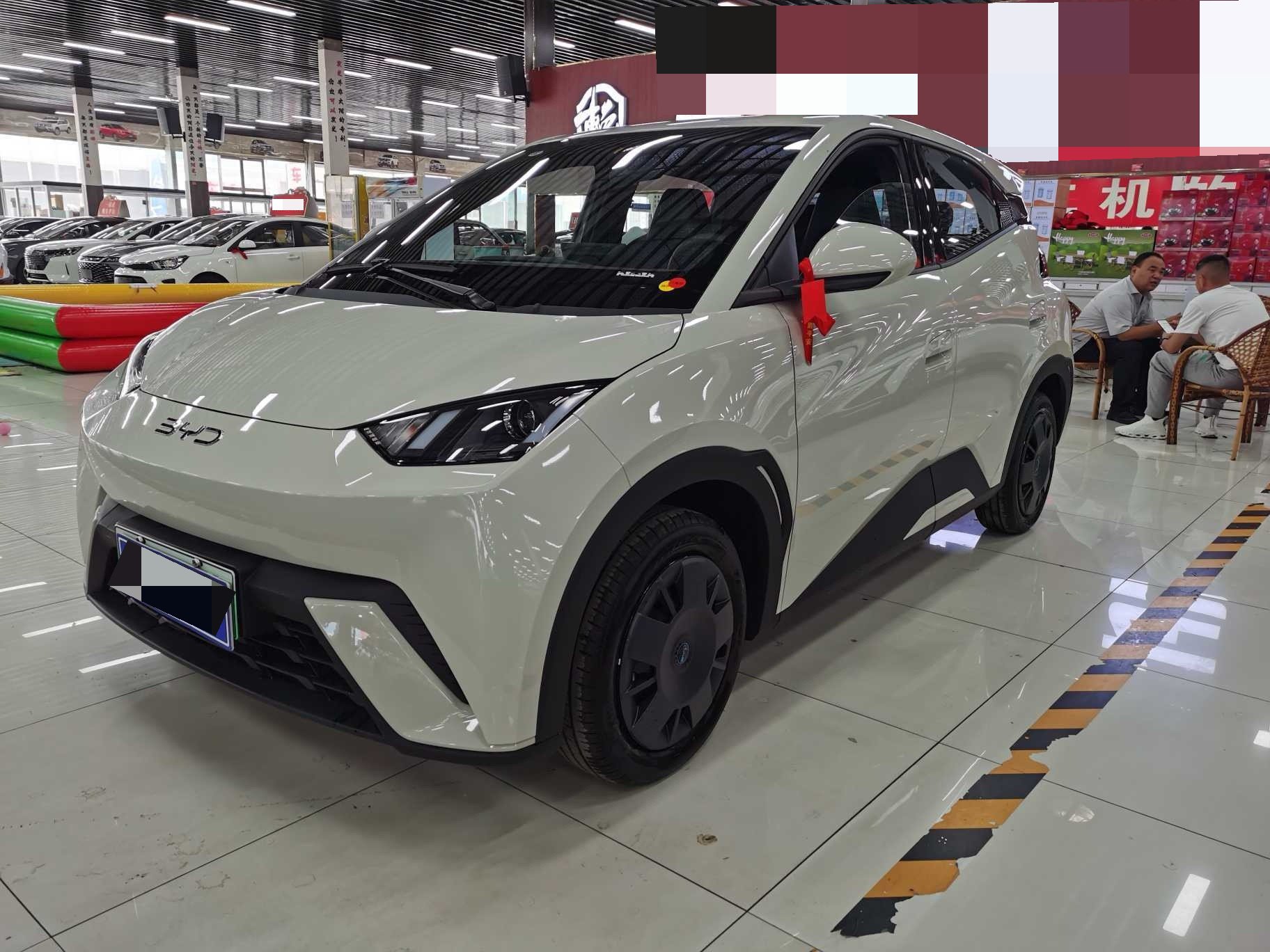 BYD 2025 Seagull Smart Driving Edition 305km Vitality Edition Automatic Transmission exterior