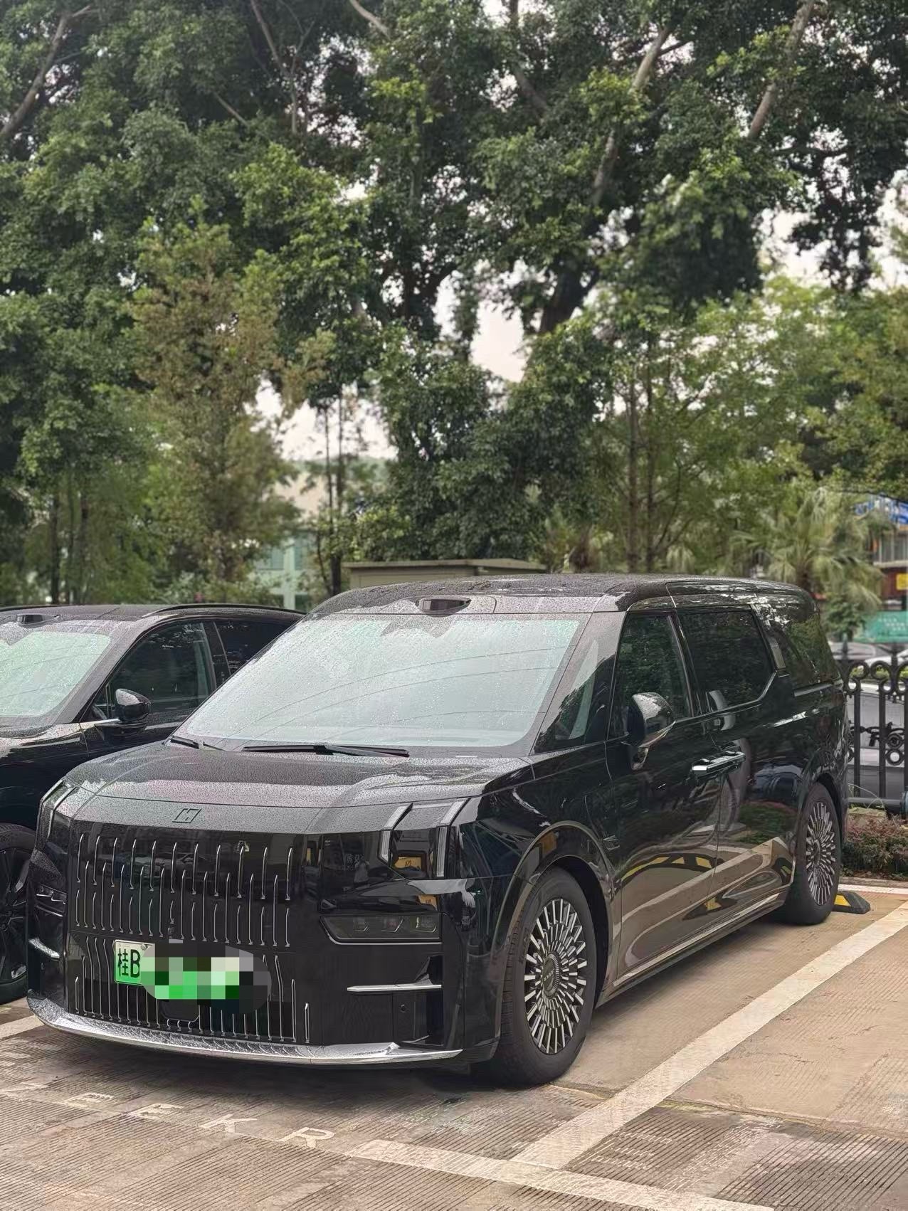 Zeekr 009 2024 Model Year, 7-Seater with Center Aisle, 108 kWh exterior