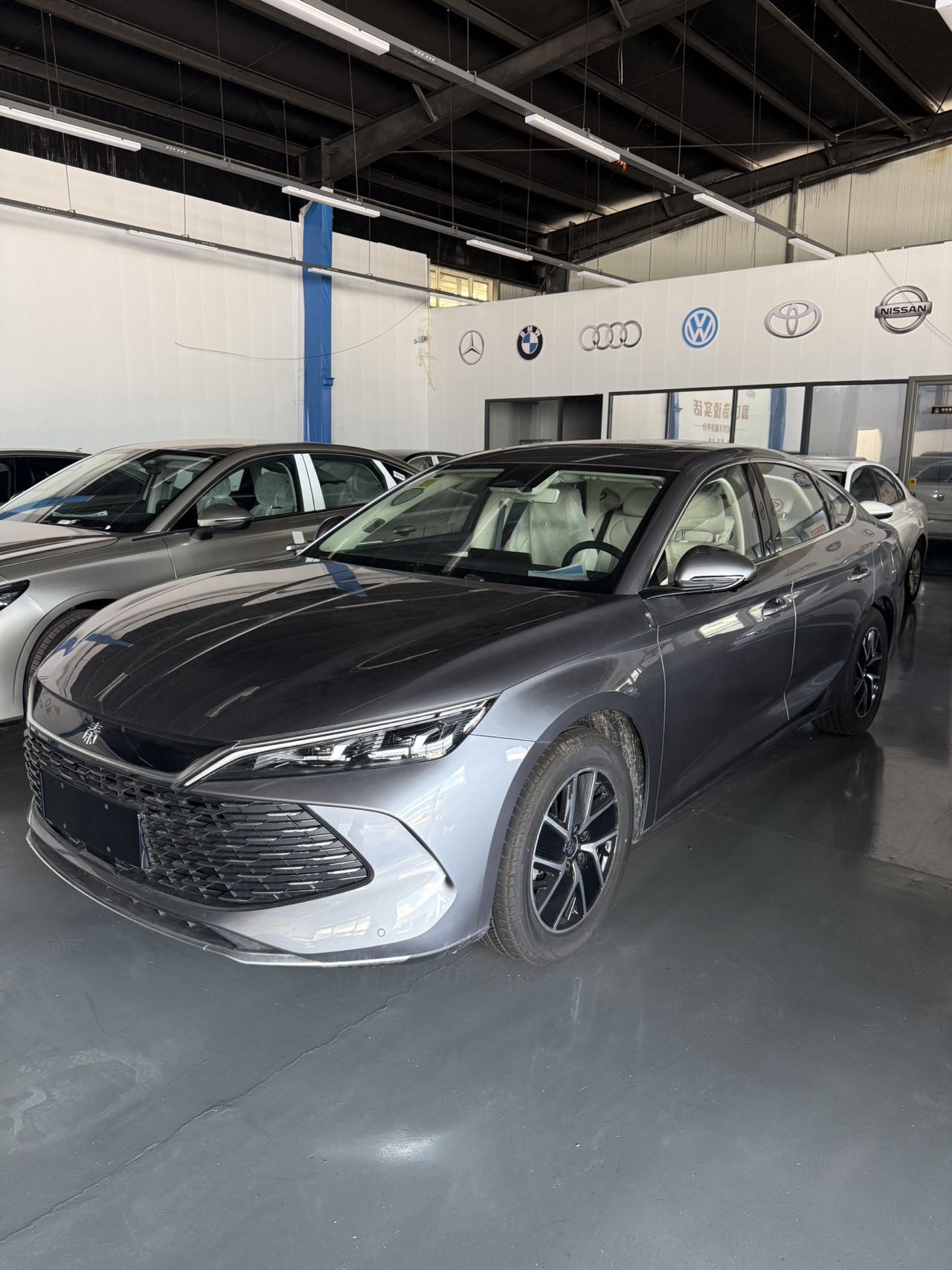Qin L 2024 DM-i 120KM Transcend Edition exterior