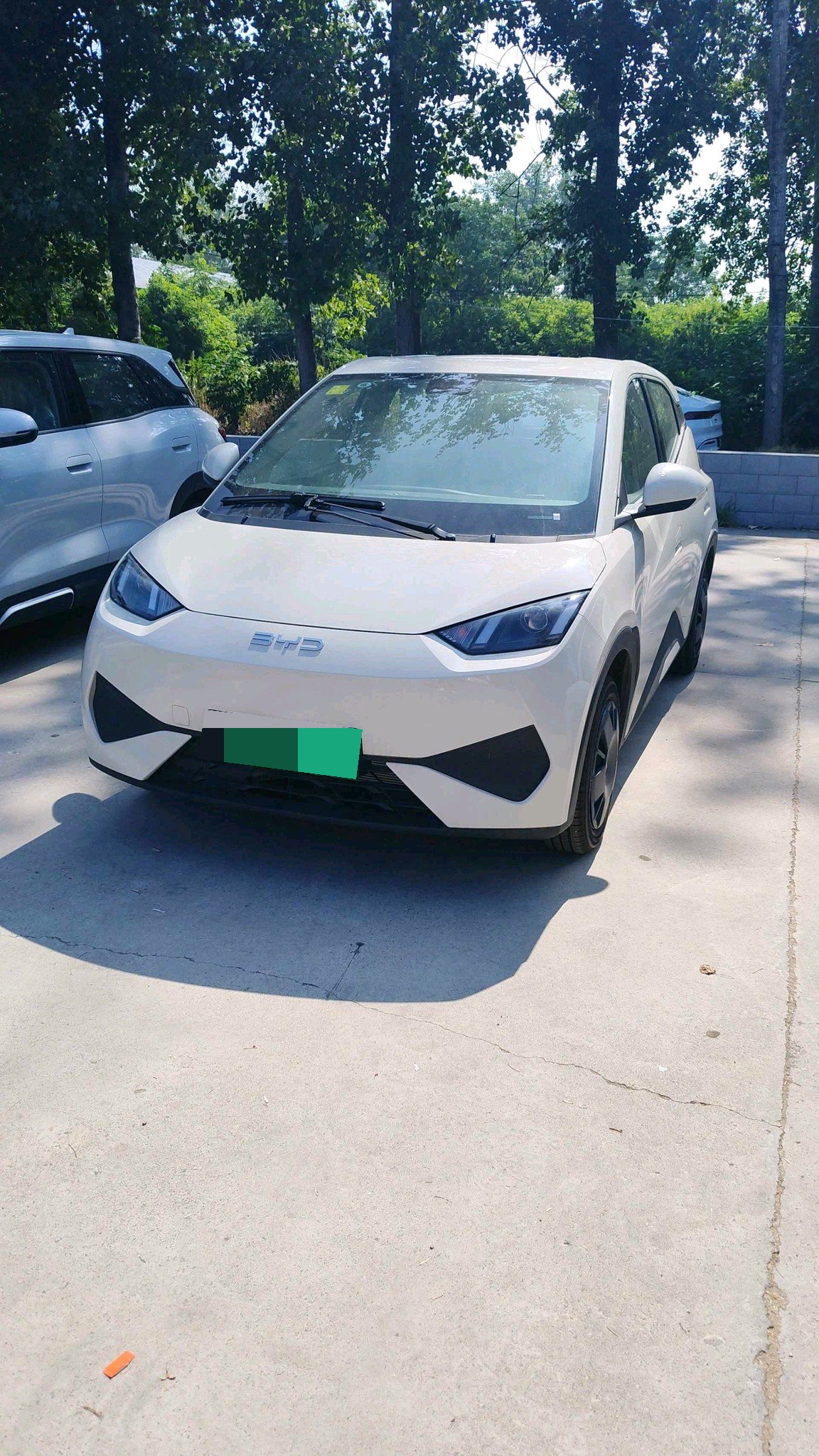BYD 2025 Seagull 305km Vitality Edition, Automatic Transmission exterior