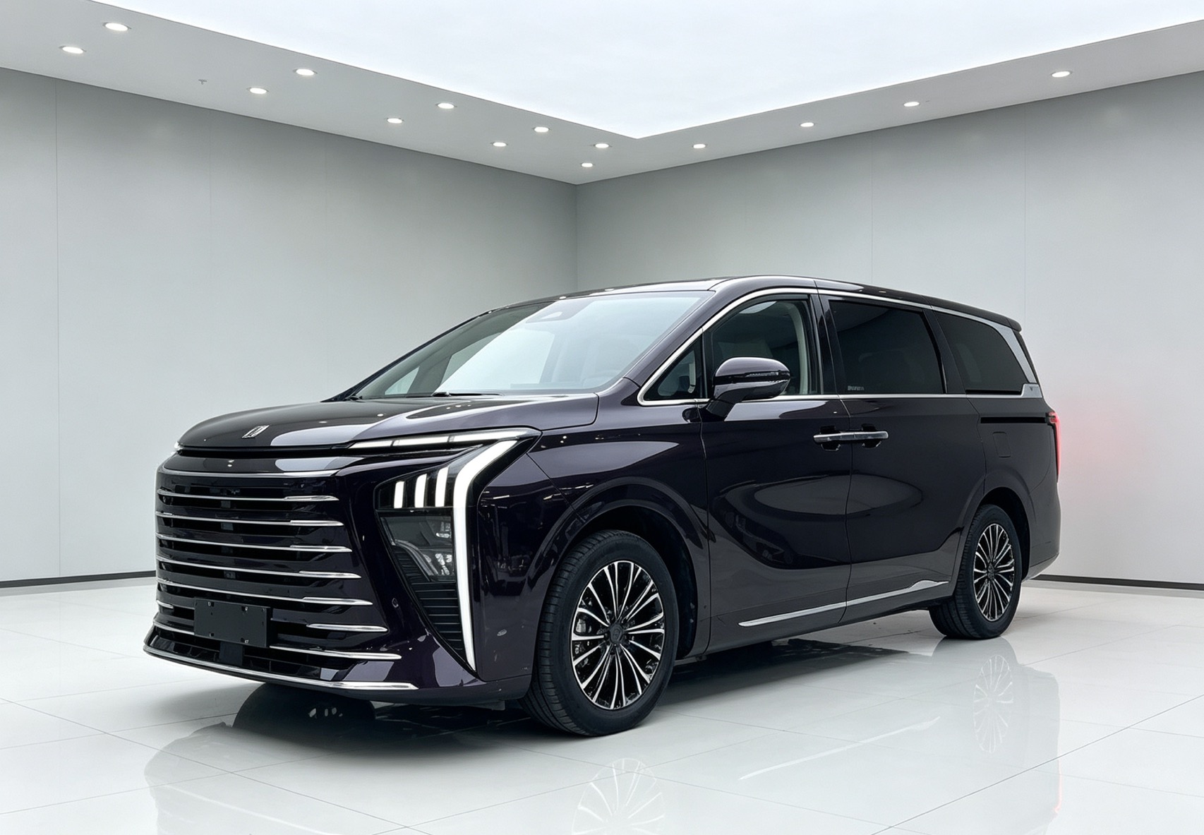 Xinghai V9 2024 Model Year 1.5TD 200 km "Chinese Knot" Series Luxury Edition exterior