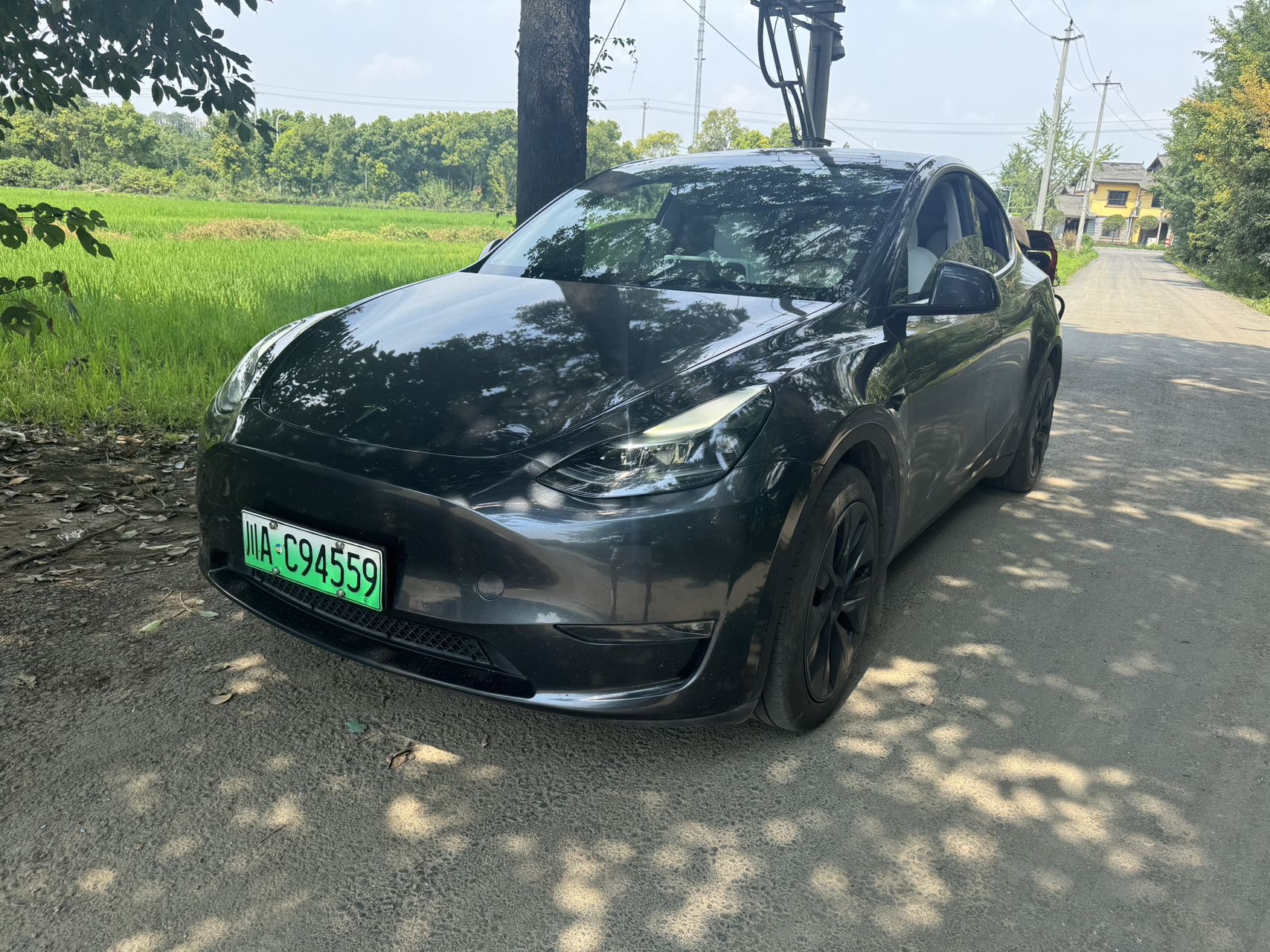 2024 Model Y Long Range All-Wheel Drive exterior