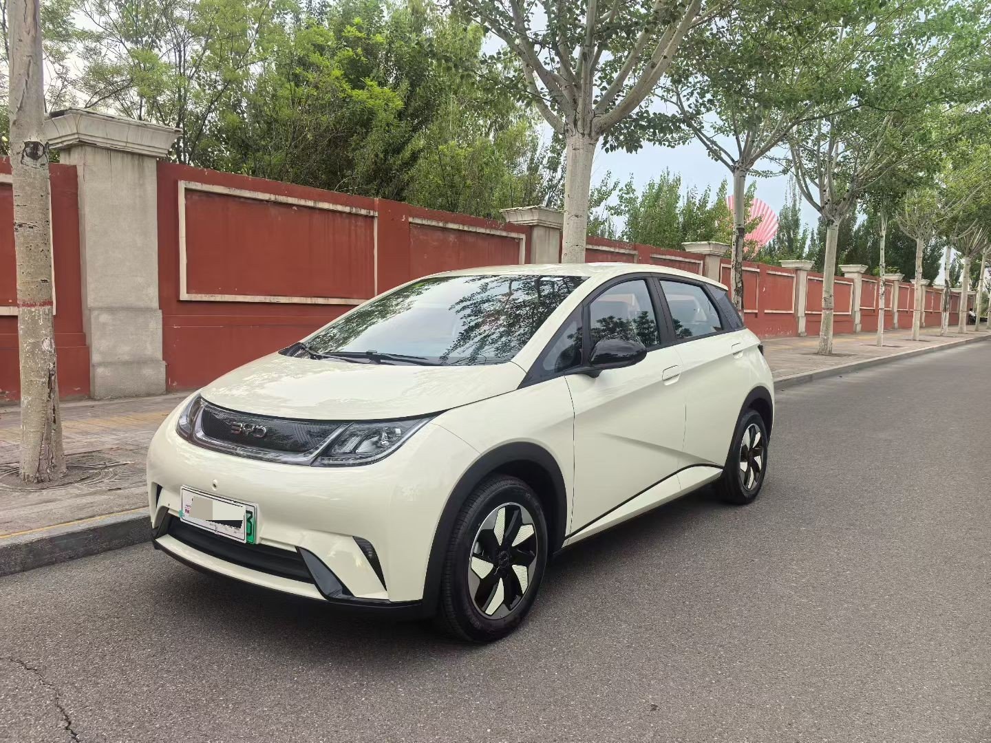 BYD 2025 Dolphin Intelligent Driving Edition 420km Freedom Edition, Automatic Transmission exterior