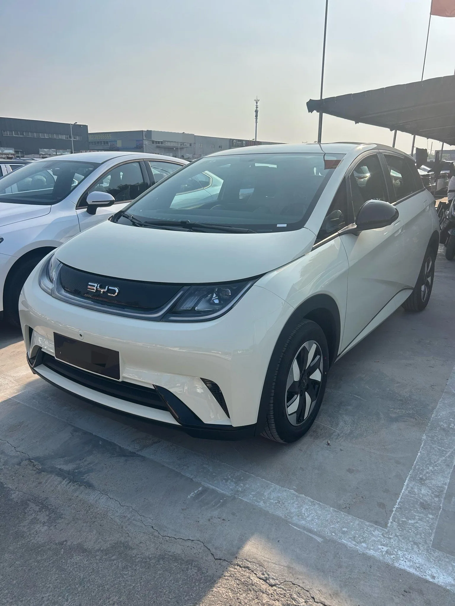 BYD 2025 Dolphin 420km Freedom Edition Automatic exterior