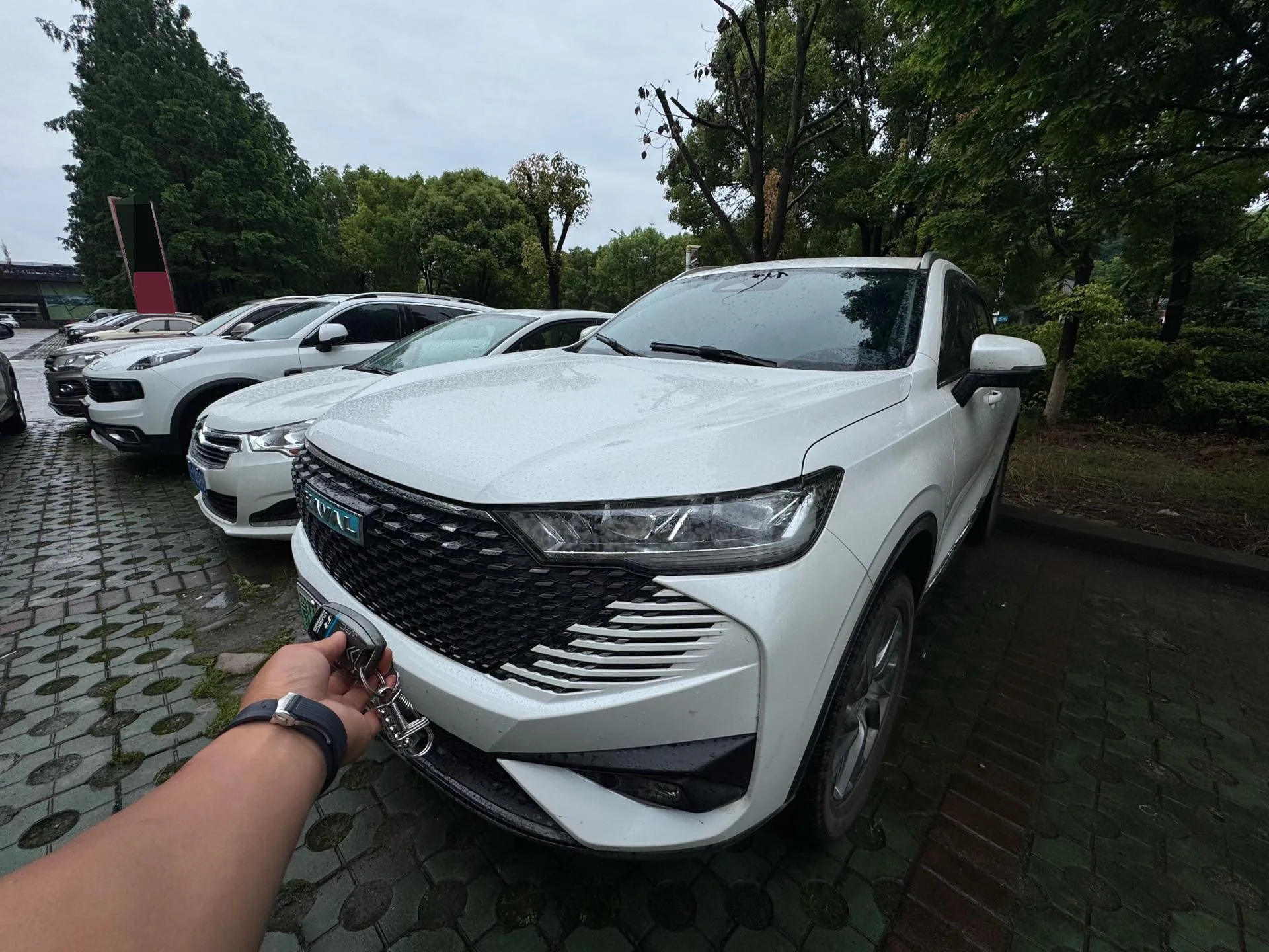 Haval H6 New Energy 2023 DHT-PHEV 110KM Joyful Edition exterior