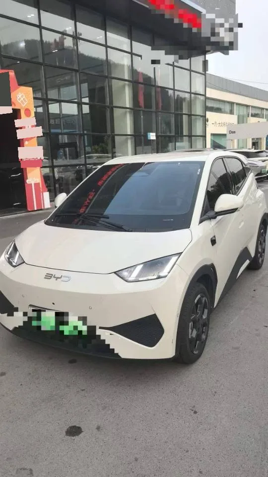 BYD 2025 Seagull Smart Driving Edition 305km Freedom Edition Automatic Transmission exterior