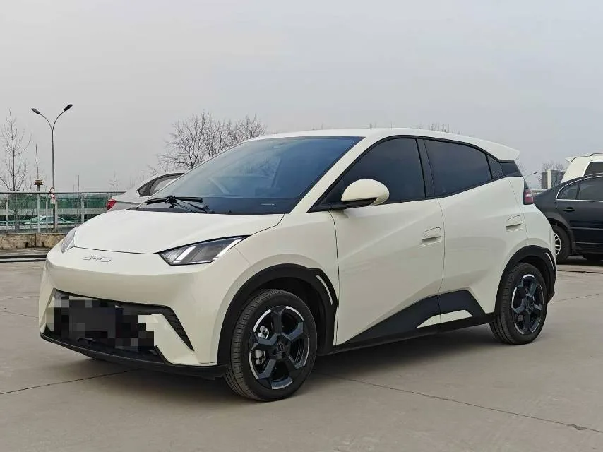 BYD 2023 Seagull Flying Edition Automatic exterior