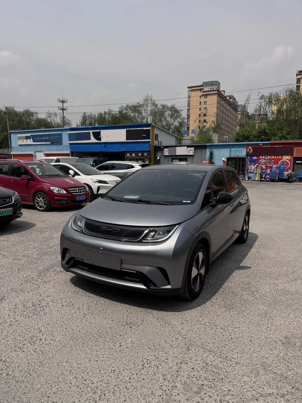 BYD 2023 Dolphin 420km Freedom Edition Automatic exterior