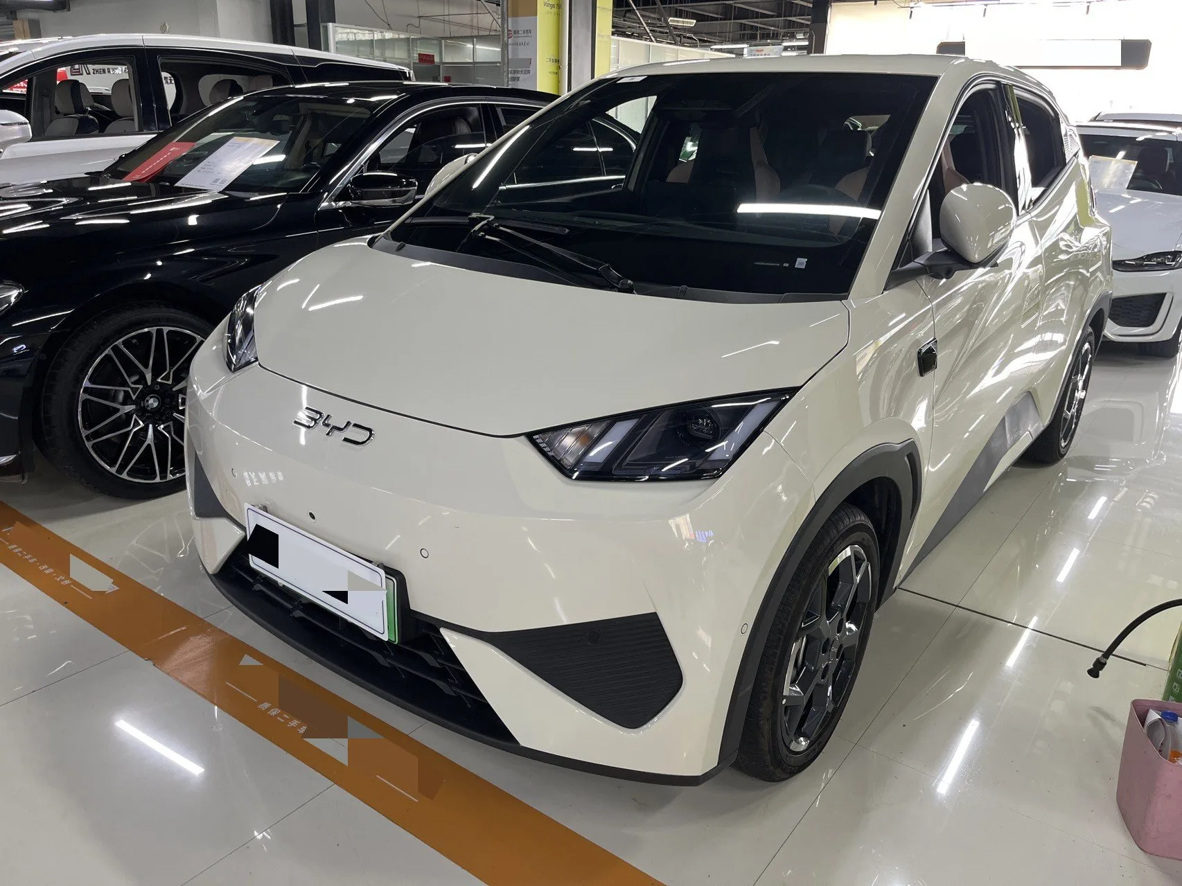 BYD 2025 Seagull Smart Driving Edition 305km Freedom Edition Automatic Transmission exterior