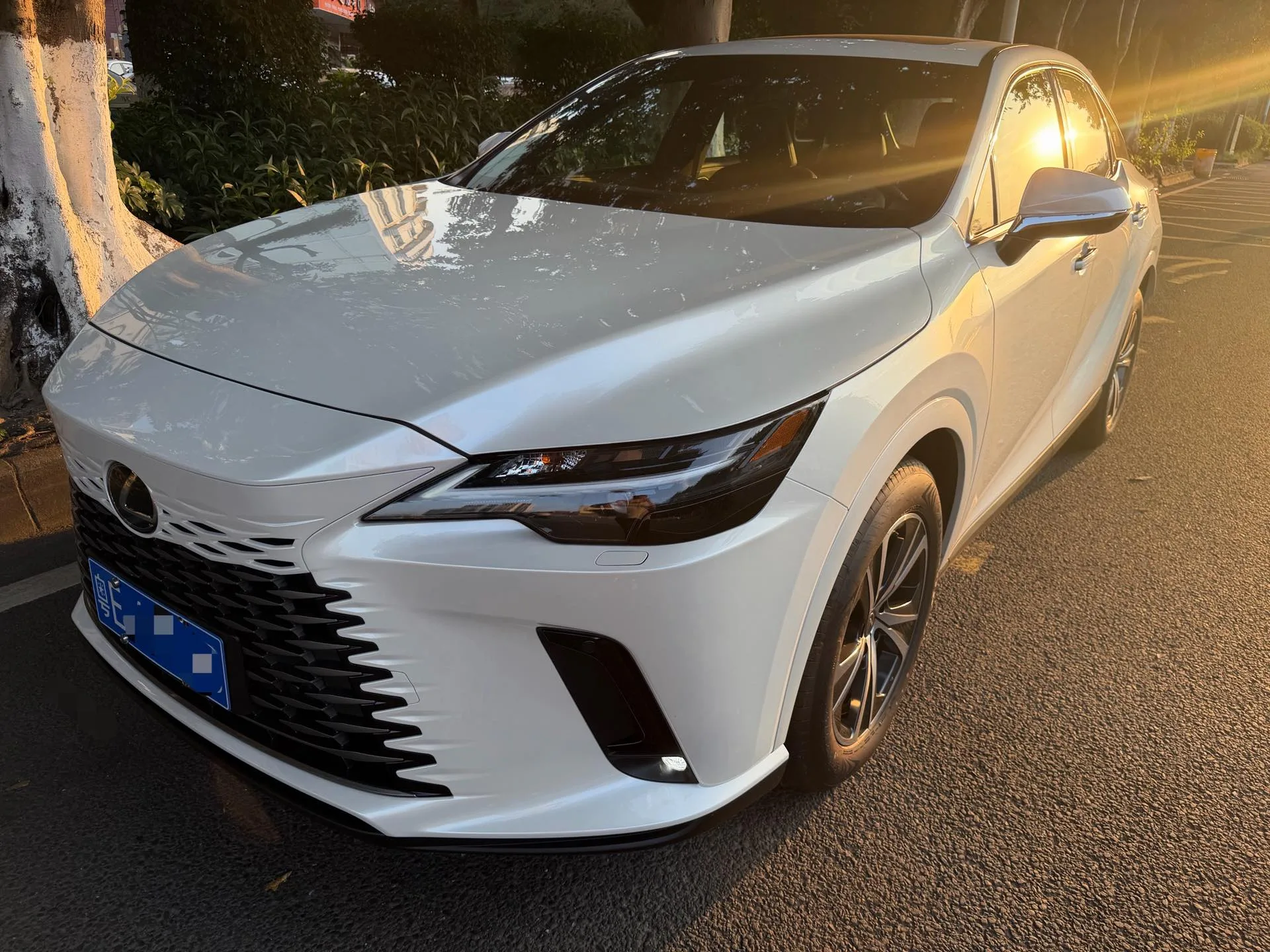 Lexus RX (Imported) 2026 RX300 2.0T AWD Luxury Edition Automatic Transmission exterior