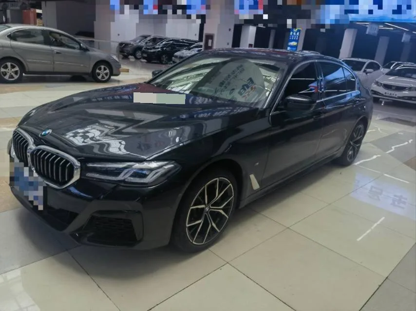 2023 BMW 5 Series 530Li 2.0T Luxury M Sport Package (Facelift) Automatic exterior