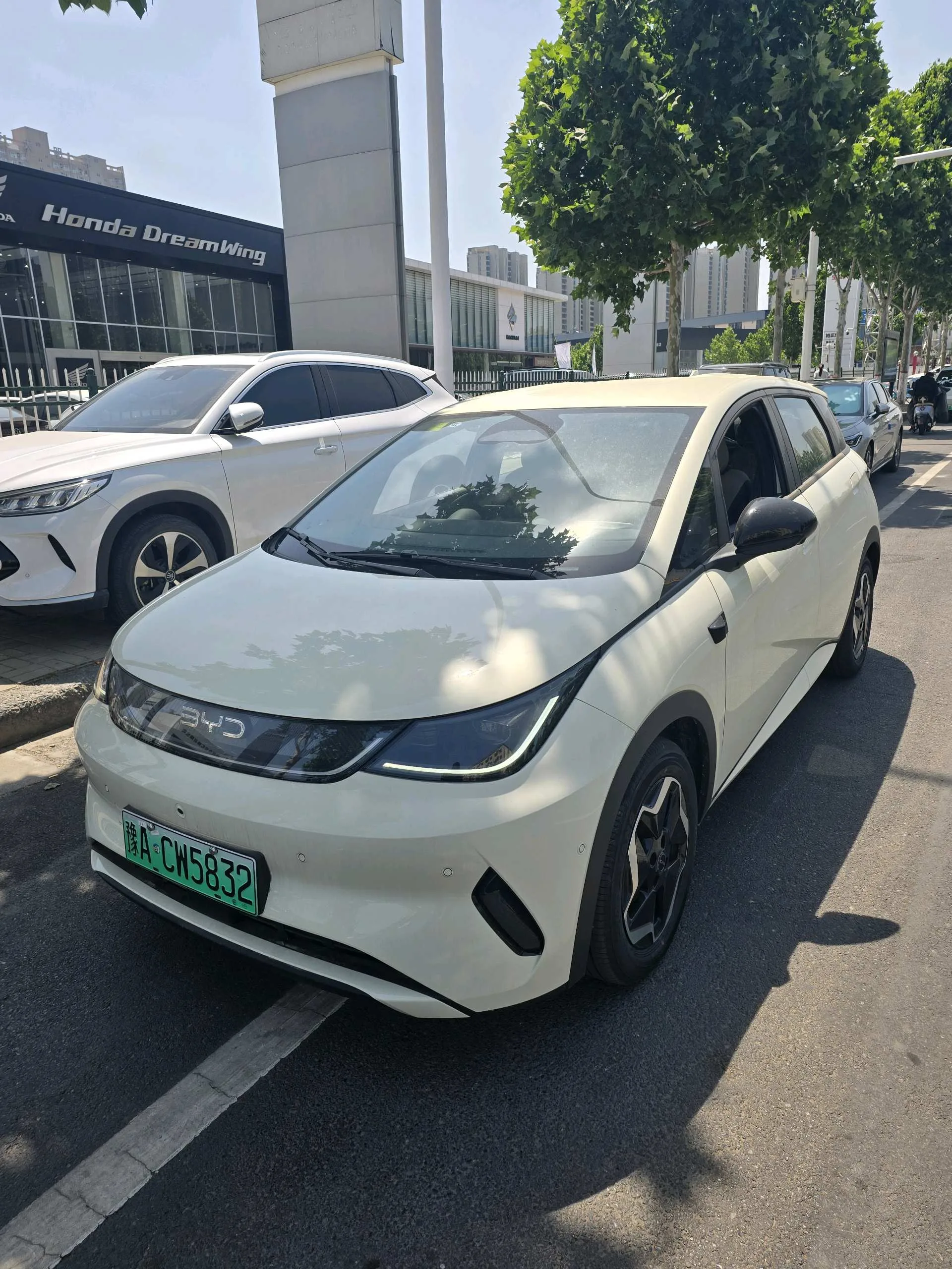 BYD 2025 Dolphin Smart Driving Edition 420km Freedom Edition Automatic Transmission exterior